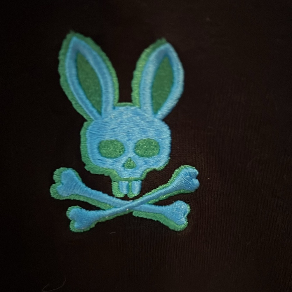 Psycho bunny kids hoodie